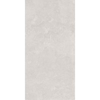 NATURALIS GREIGE 60x120 2005