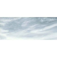 VIOLA DREAM  DECOR  60x100  2492