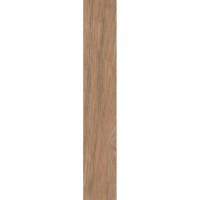 TILIA CARAMEL 20x1203703