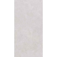 STONELINE LIGHT GREY 60x120 9917