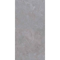 STONELINE GREY 60x120 9918