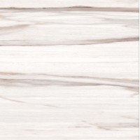 ELEMENTS BEIGE 42x42