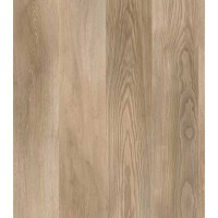 PARCHET MARCO POLO LABRADOR 12MM AC5 EMBOSS V-GROOVE 922 EP