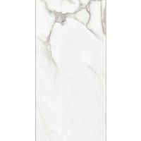 VENATO NATURAL SILK SL 60x120