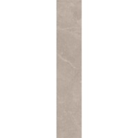 STEP PULPIS GREY RETT 33x120