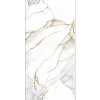 INK MG 1005 GLOSSY 60x120