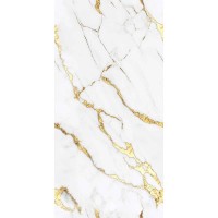 INK MG 1018 GLOSSY 60x120