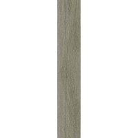 ISLANDIA ACACIA IN&OUT RECTIFIED 20x120