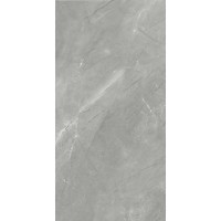 STONE VEINS GREY POLISHED REC 60x120