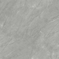 STONE VEINS GREY POLISHED REC 60x60