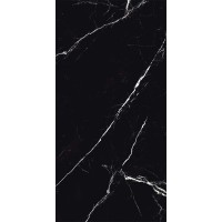 VEINS SILVER POLISHED REC 60x120