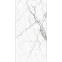 SKERA SILVER GLOSSY 60x120