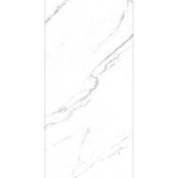 STATUARIO GREY MATT 60x120
