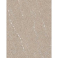 PANOU SPC WALL BOTTICINO LIGHT 965x2800x3MM 806