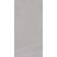 INOUT BELLEVUE GREY MT 60x120 R