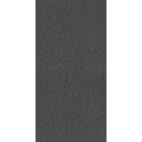 LAPPATO NEGRO 60x120 LAPPATO NEGRO 60x120