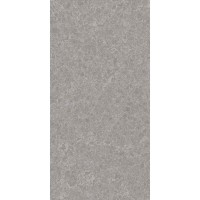 GRANITE DENSE GREY 60x120