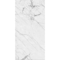 PIETRA SILVER GLOSSY 60x120